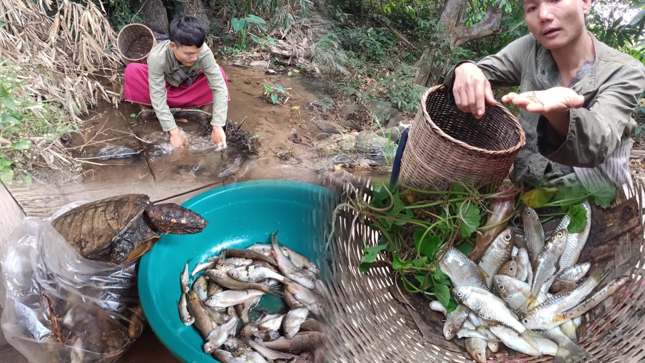 I'm going to catch some fish in the stream for Grandma to eat.