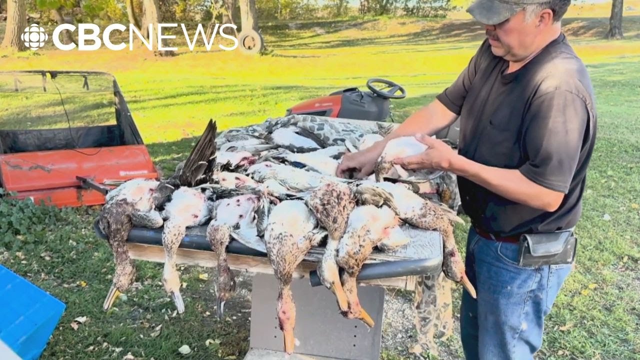 Возвращение сообществу традиционных продуктов питания и знаний, основанных на принципах землеполь...