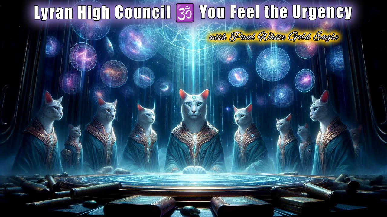 Lyran High Council 🕉 You Feel the Urgency 🕉 Message to Lightworkers ...