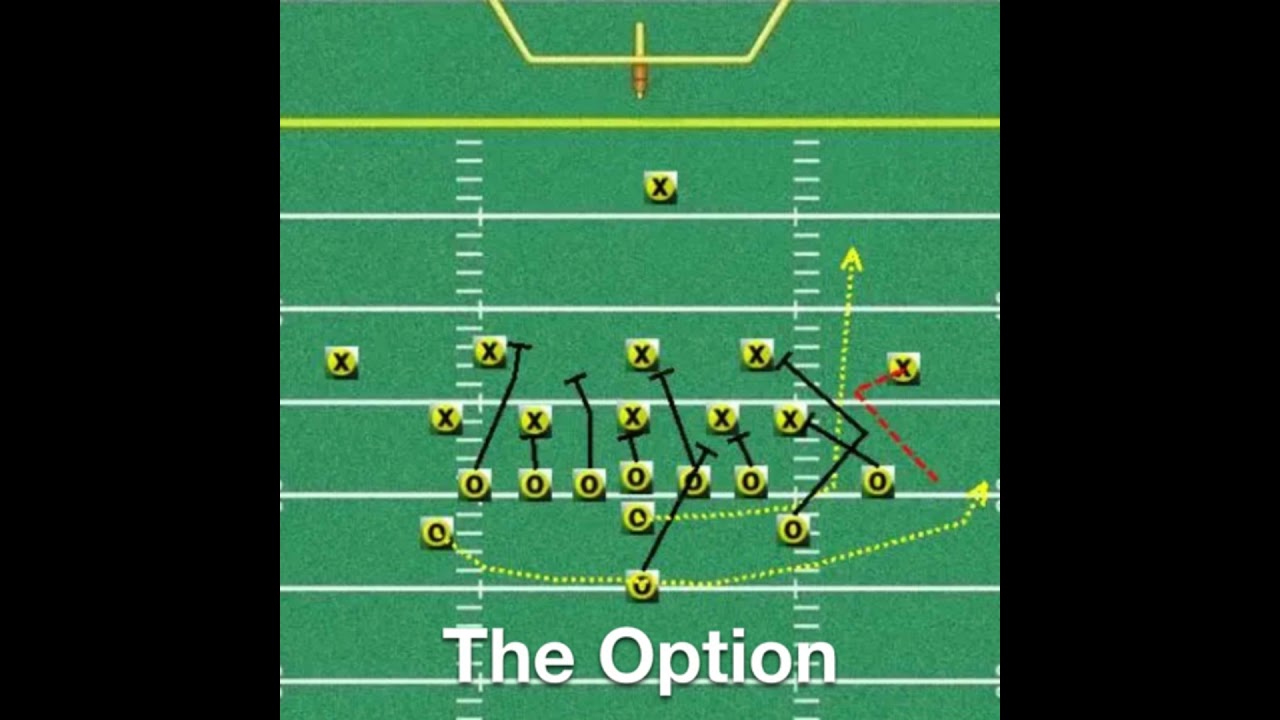 The Option 2022 Week 6