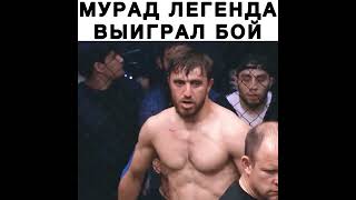 Мурад Легенда Зарубился и Выиграл Бой 👏