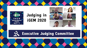 Judging in iGEM 2020 - Opening Weekend Festival