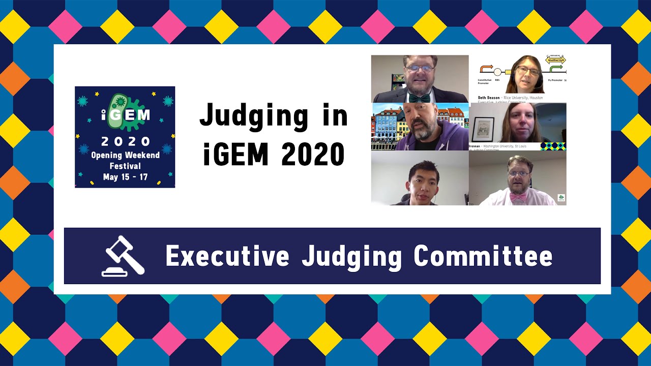 Judging in iGEM 2020 - Opening Weekend Festival
