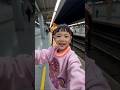 A Train Full of Cute Cats… This Is So Adorable! 🐱🚆 #shorts