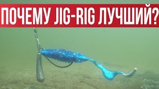 JIG RIG  Лучший монтаж для осени? БЕЗУСЛОВНО! Подробно разбираем оснастку | Рыбалка с Fishingsib