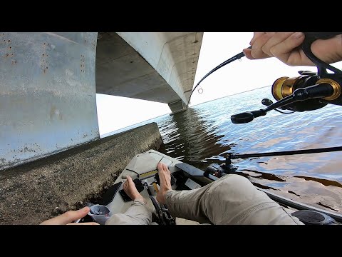 I *FINALLY* CAUGHT The BRIDGE FISH THAT I WAS AFTER! FISHING BRIDGES FOR CRAB EATING SPECIES!