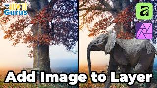 📸 Affinity Photo Beginner Guide: Add Images to Layers 📸 Affinity Photo Beginner Guide: Add Images to Layers
