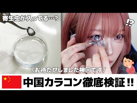 ハウスダストちゃん着用 セットアップ 3点セット ブティック