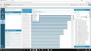 Vitria Visual Explorer Video