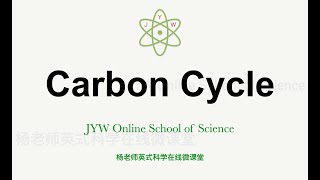 Carbon cycle