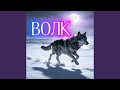 Волк