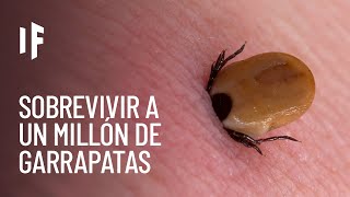Thumbnail image for ¿Qué pasaría si te picaran un millón de garrapatas?
