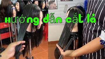 Hướng dẫn cắt tóc lá sole nhọn - teach to cut leaves with pointed leaves