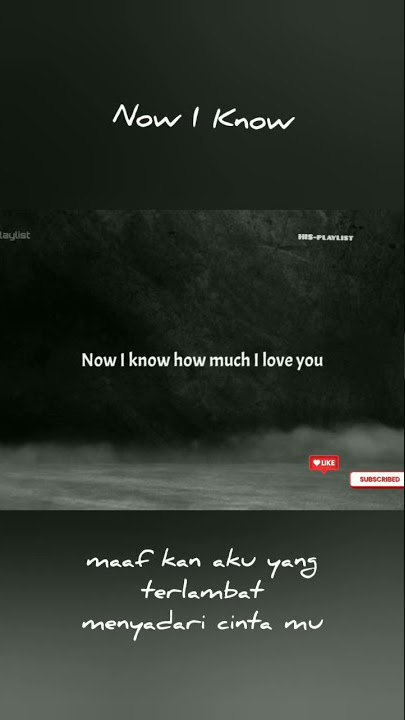 Now I Know - Kaleb J (Lyrics) || Cover || #shorts ~ WA Story