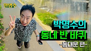 (ENG) 제가 스타되는 동네 소개해 드립니다ㅣ스타 일상ㅣ동대문 크레페, 동대문 닭한마리, DDPㅣ할명수 ep.149