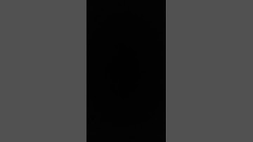 سورة الرحمن