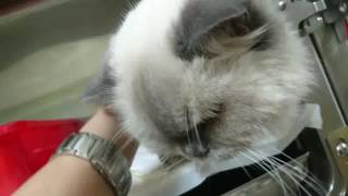 1060613美齡看股股