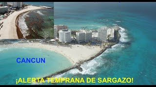 Las Playas De Cancún Con Alerta Temprana De Sargazo