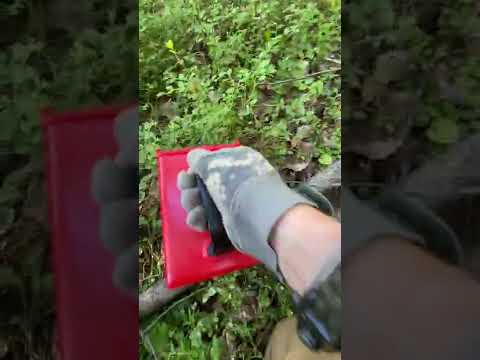 Blueberry picking with