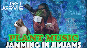 Jamming in Jimjams with TOM: DAWLess Jam with Little Boxes Analogue Solutions #cat #synth #dawless