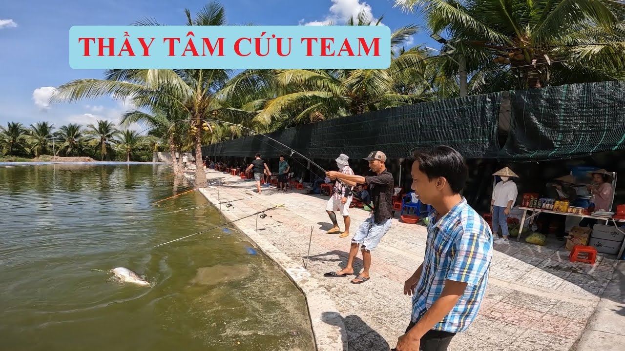 GIẢI CÂU CÁ TRA HỒ HOA MAI, THẦY TÂM BẮT ĐƯỢC CÁ TRA LỚN | HUYNH KHOA FISHING