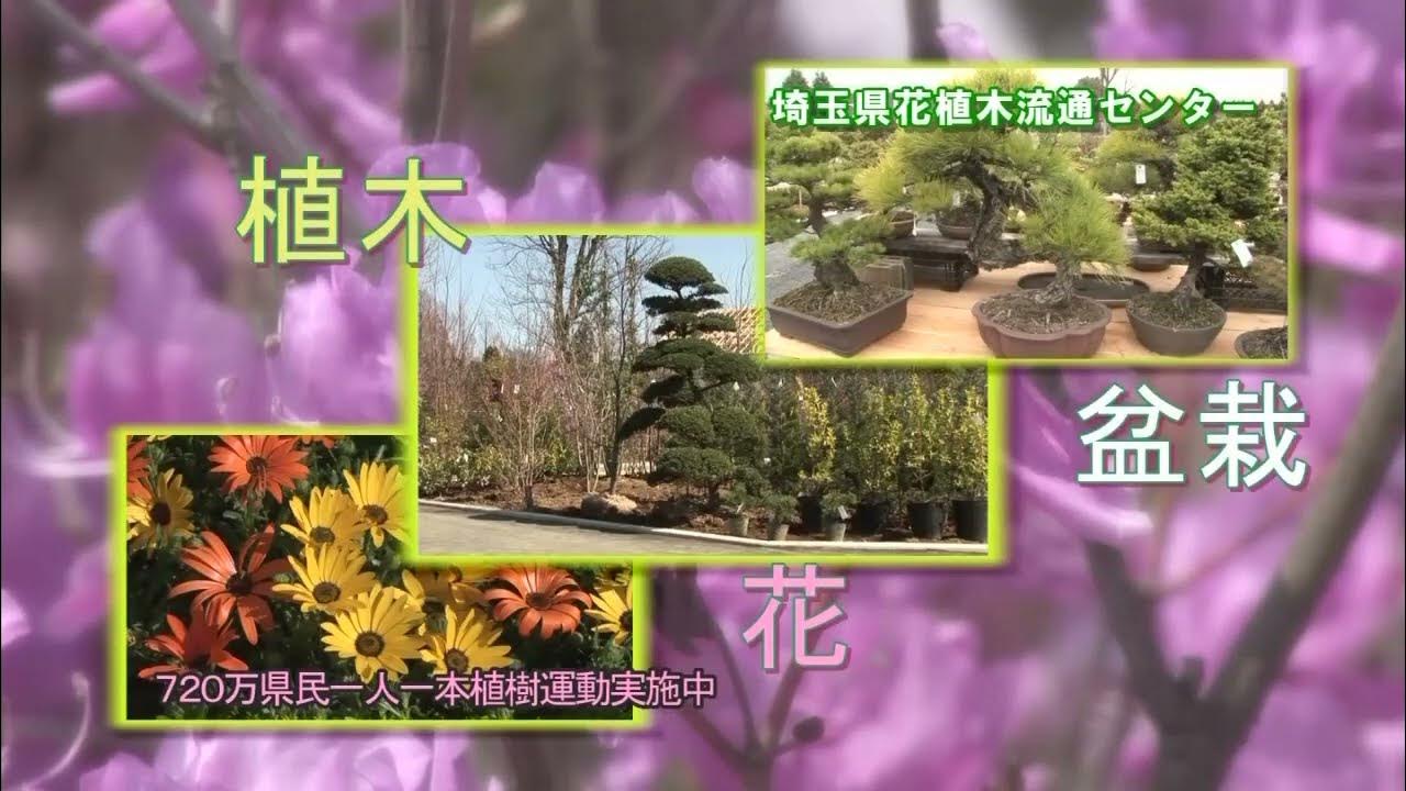 埼玉県花植木流通センターCM 2023年 YouTube