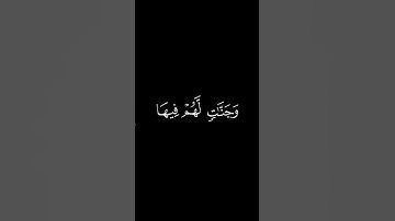 يُبَشِّرُهُم رَبُّهُم بِرَحمَةٍ مِنهُ || كروما قران كريم شاشة سوداء || المنشاوي #كرومات_قرآن #quran