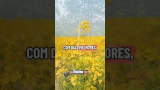 Evangelho #palavradefé #reflexão #reflexion #deustemumapalavrapravoce #fe