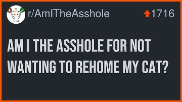 Am I The Asshole For Not Wanting To Rehome My Cat?