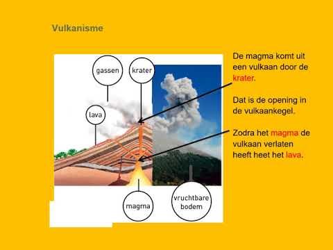 Video: Impact Van De Natuur In De Stille Oceaan Door De Japanse Aardbeving En Tsunami - Matador Network