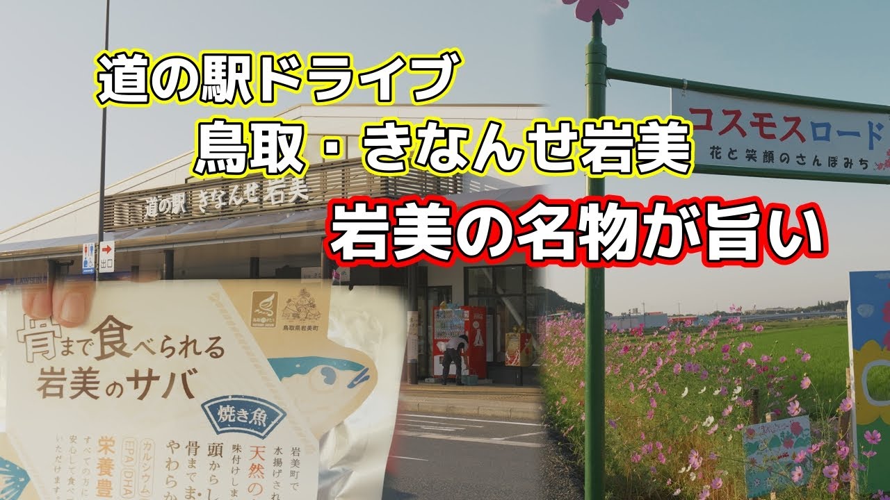 鳥取・岩美ドライブ旅！道の駅きなんせ岩美の名物田村コロッケと絶品サバ【S660ドライブ】