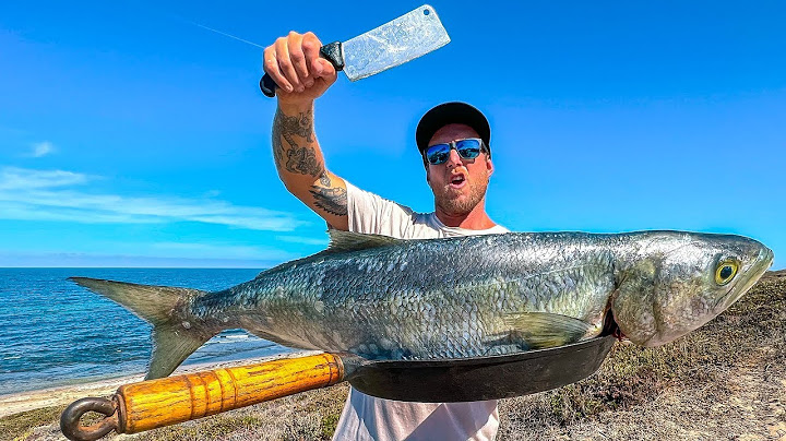 PESCANDO Y COCINANDO El pez era ENORME como para comerlo solo