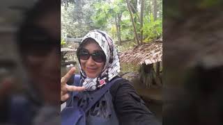 IWAN FALS - TANTE LISA