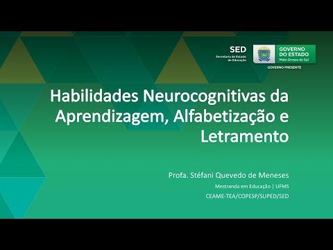 Vídeo: O que são habilidades de alfabetização visual?