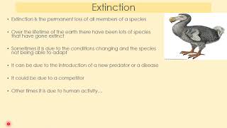 Fossils and Extinction