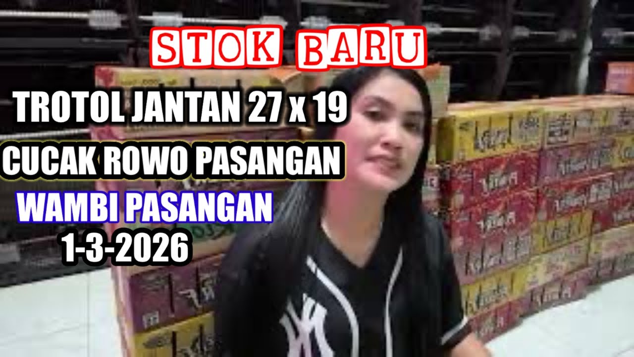 STOK BARU MURAI TROTOL KLEWER,CUCAK ROWO DAN WAMBI 1-3-2026