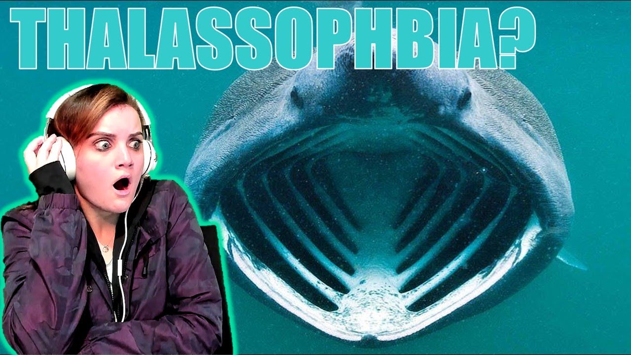 Do I Have THALASSOPHOBIA YouTube Do I Have THALASSOPHOBIA YouTube