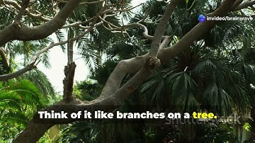 Exploring Parallel Universes: Mind-Blowing Theories!" 🌌