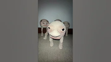 Wawawa Doll Shorts 