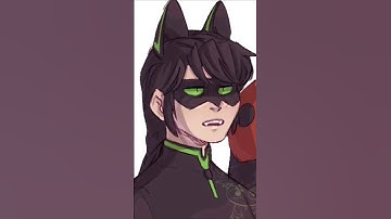 Hawkmoth is NOT The Villain?!