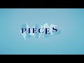 VASSY x Bingo Players x Disco Fries - Pieces (Official Lyric Video)