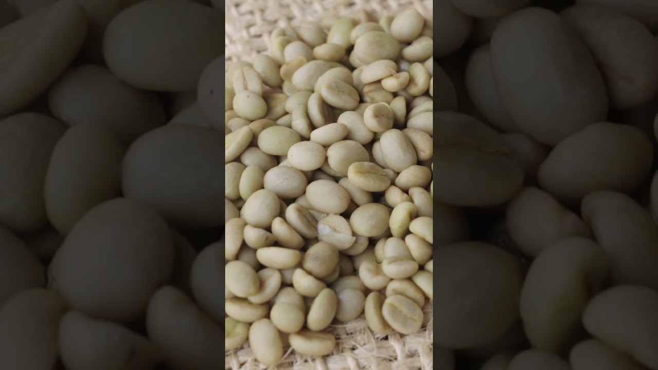 As 5 Etapas da Produção de Café | Insider Português