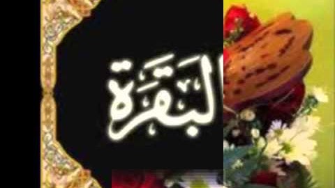 حفظ حزب الرابع من سورة البقرة الآيتين 203 و 204 مكررة 10 مرات