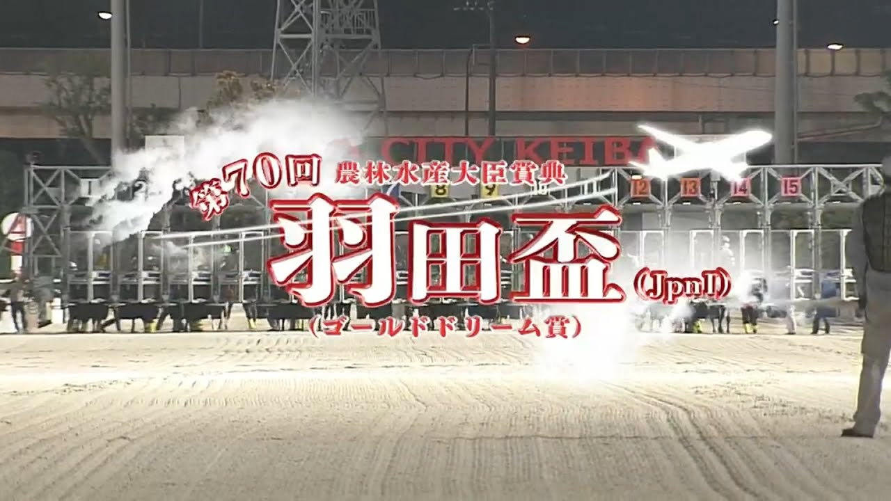 第70回 羽田盃 本馬場入場＆生ファンファーレ