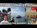 LIVING IN TURKEY🇹🇷 : A DAY TRIP TO ISTANBUL PRINCE&#39;S ISLAND. WE WERE TOURISTS FOR A DAY