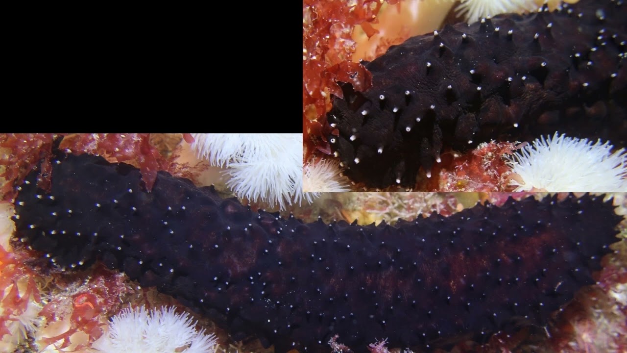 Isles of Scilly 2024