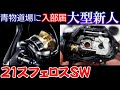 分解】ベアリング追加で上位クラスを食っちゃうエントリー機を徹底解説