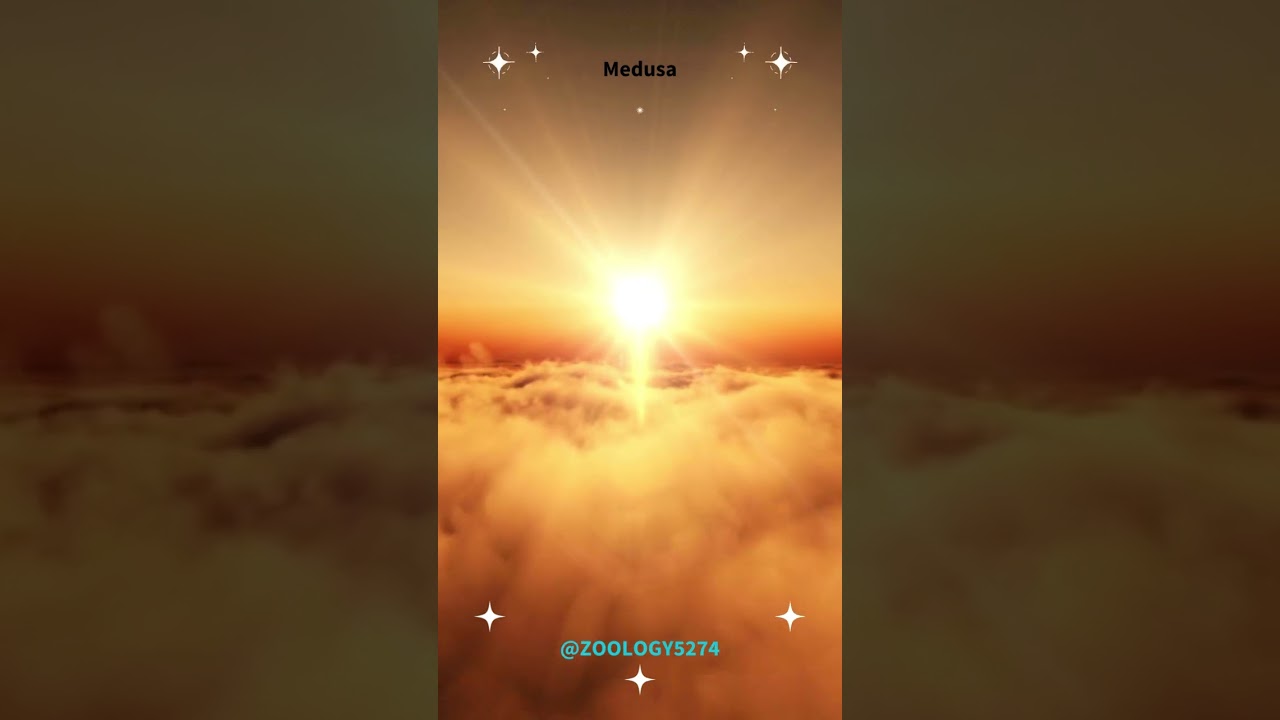 Medusa