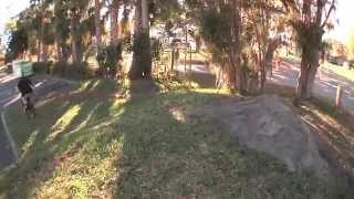 Dude Bird Mess Tape 2