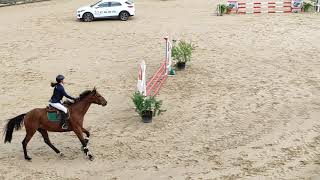 Yeguada El Pomar. Irati y Andy Pandy a metro